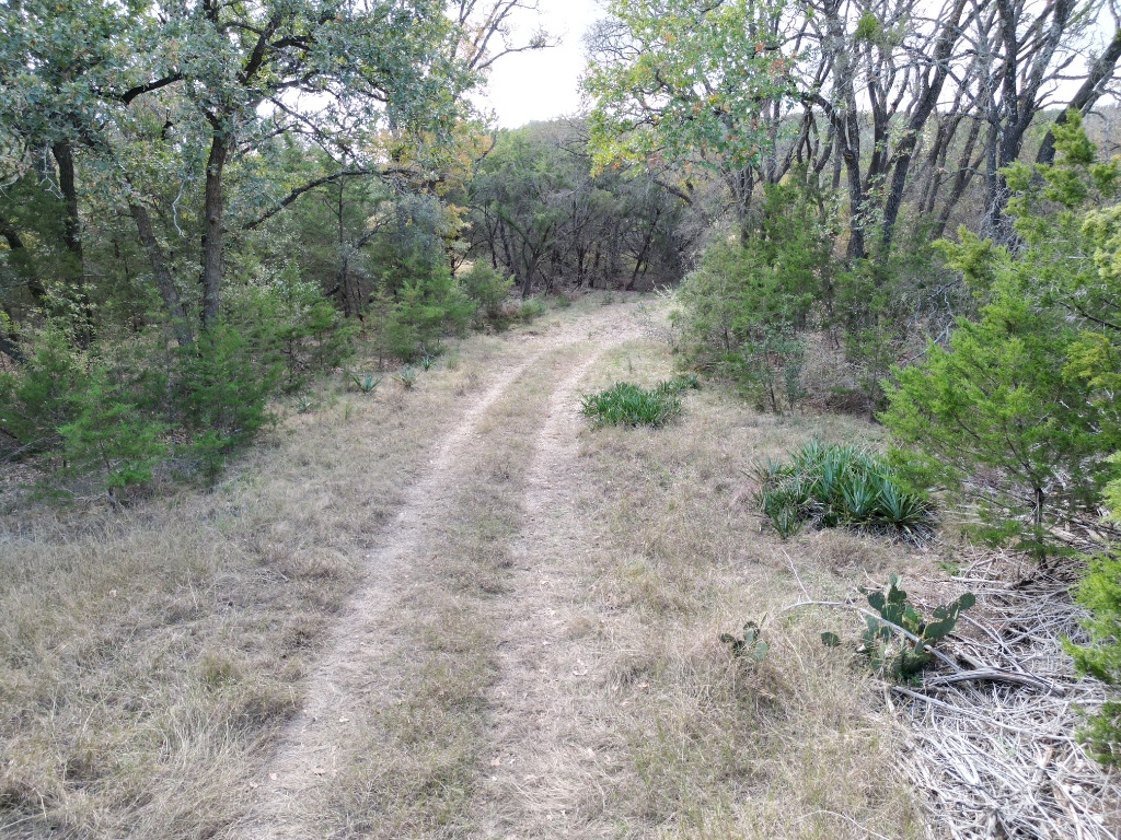 20940 Firefly Road Florence, TX 76527 - Photo 9 of 21 a view of a dirt road with trees in the background
