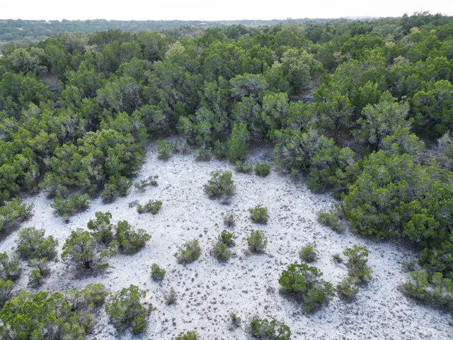 a view of a forest with a forest