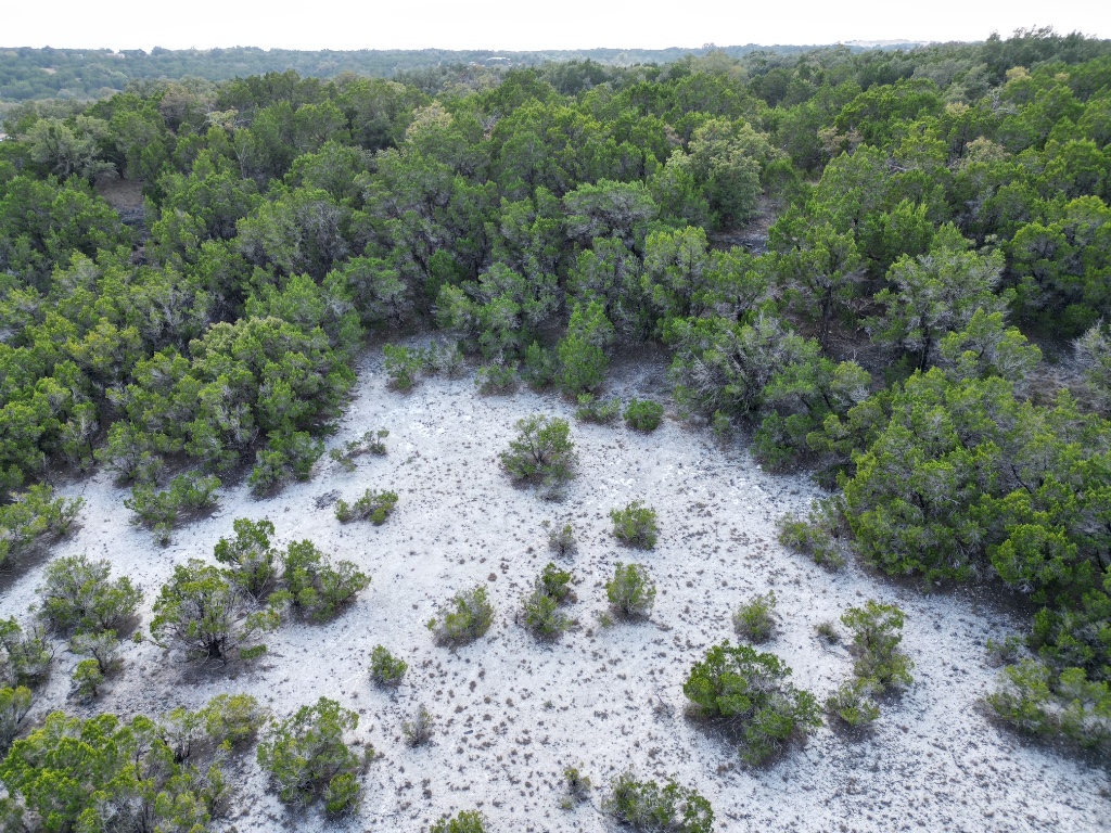 20940 Firefly Road Florence, TX 76527 - Photo 10 of 21 a view of a forest with a forest