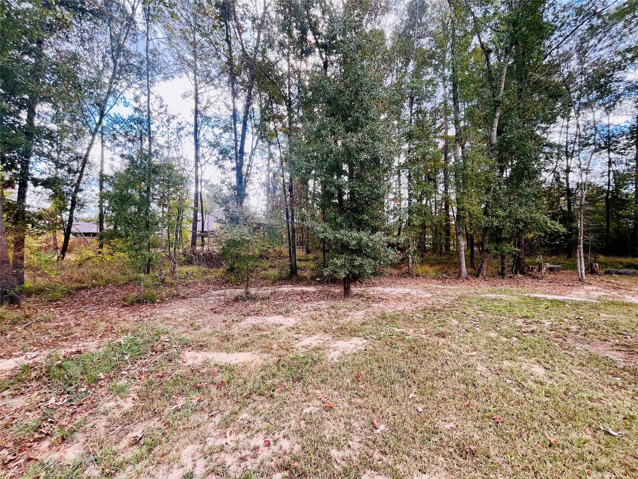 2914 Roman Forest Boulevard New Caney, TX 77357 - Photo 11 of 35 a view of a yard with tree s