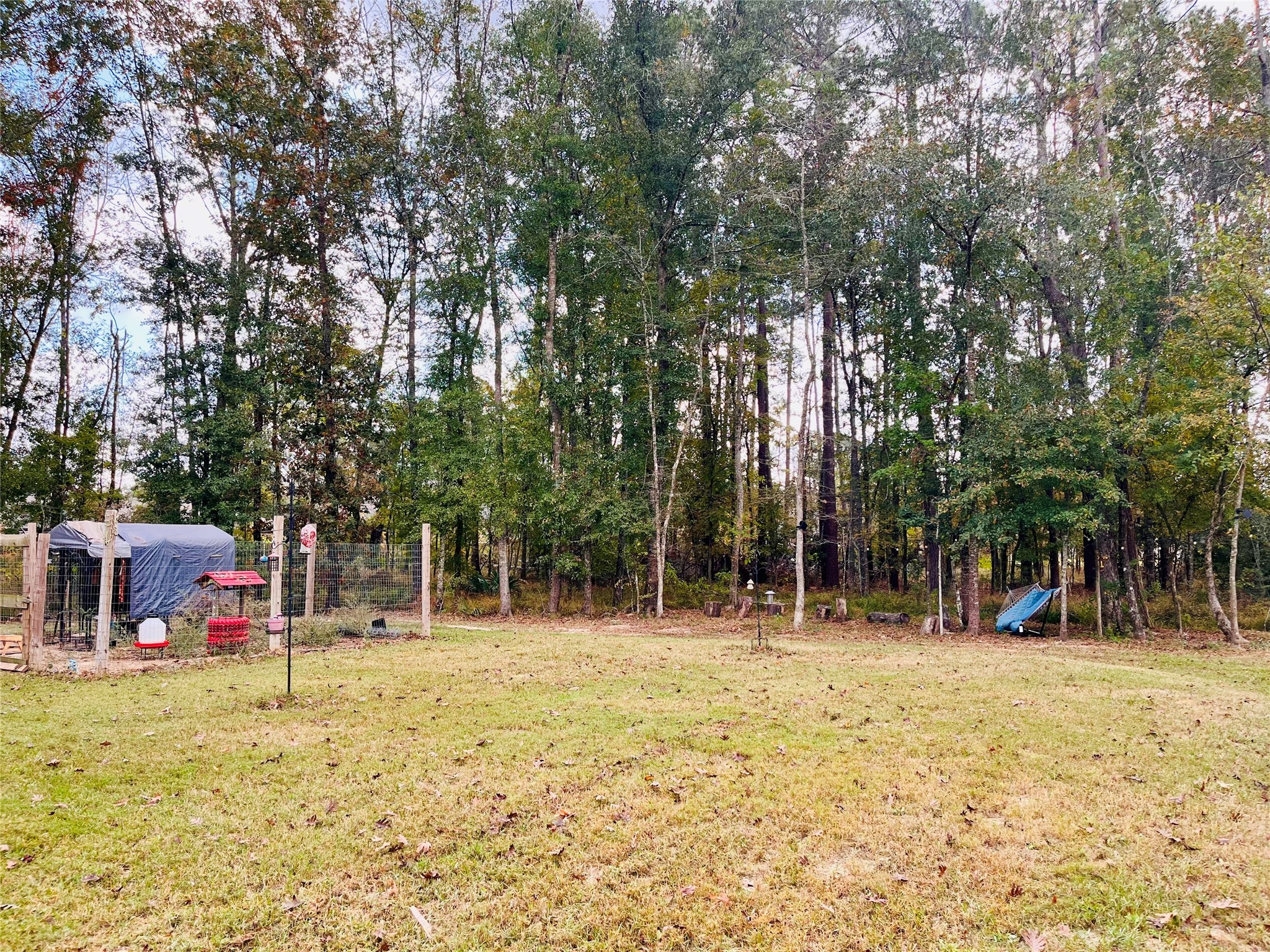 2914 Roman Forest Boulevard New Caney, TX 77357 - Photo 9 of 35