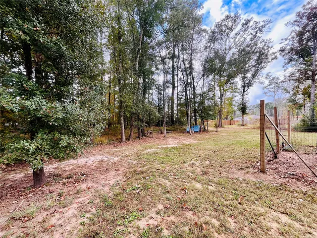 a view of a yard with tree s