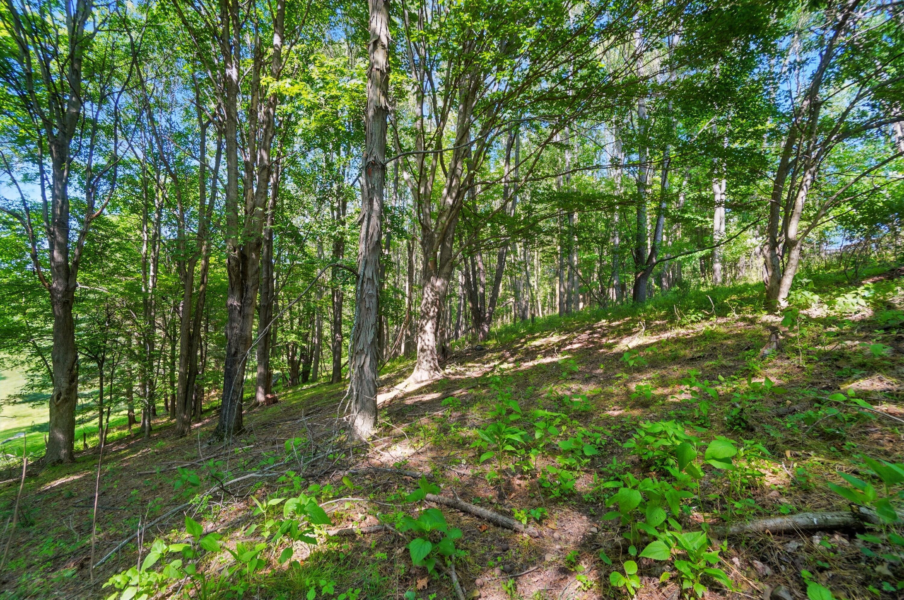 1801 River Road Granville, OH 43023 - Photo 12 of 16 011
