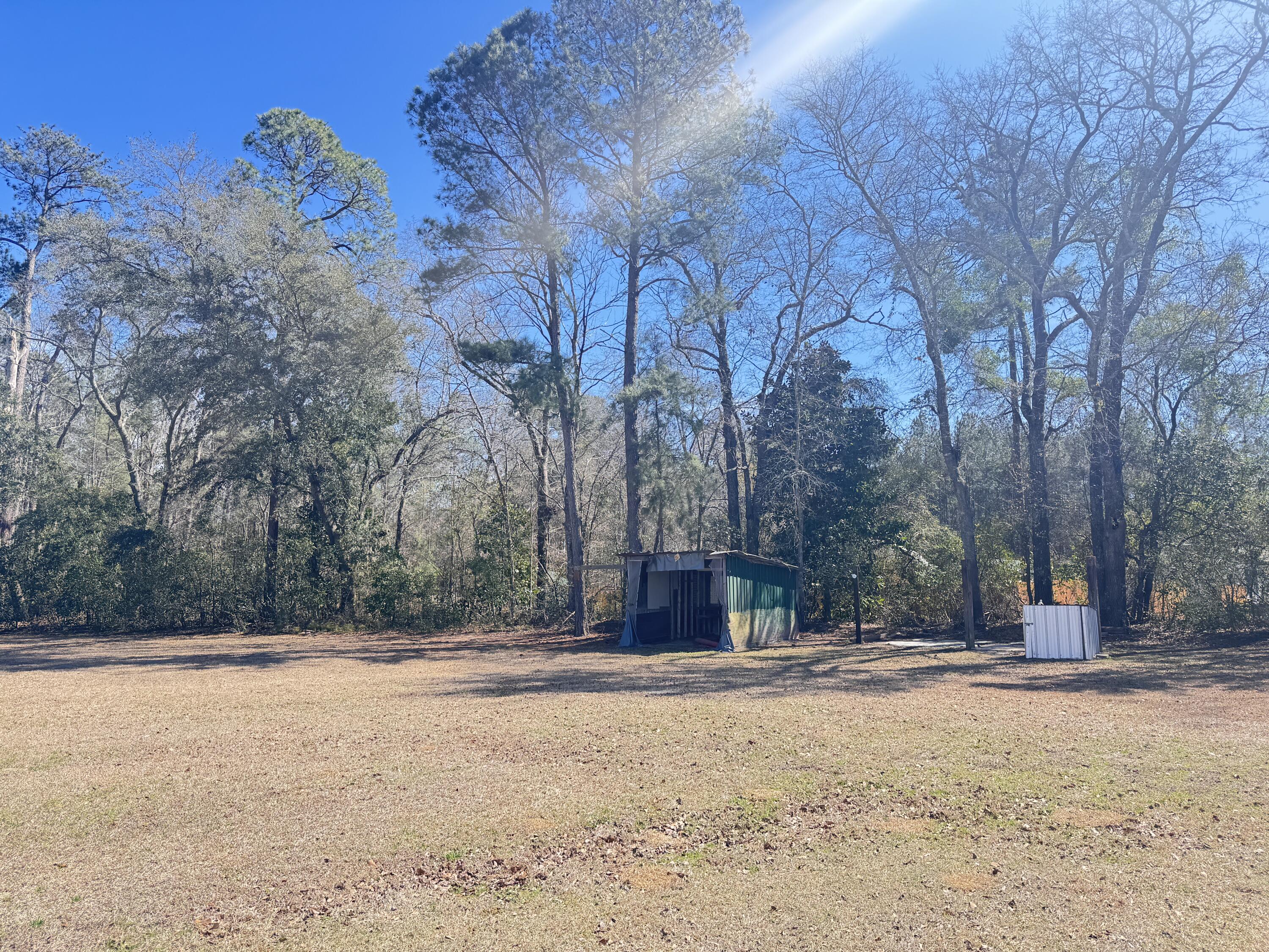 978 Stokes Road Walterboro, SC 29488 - Photo 6 of 87 978 Stokes Road (10)