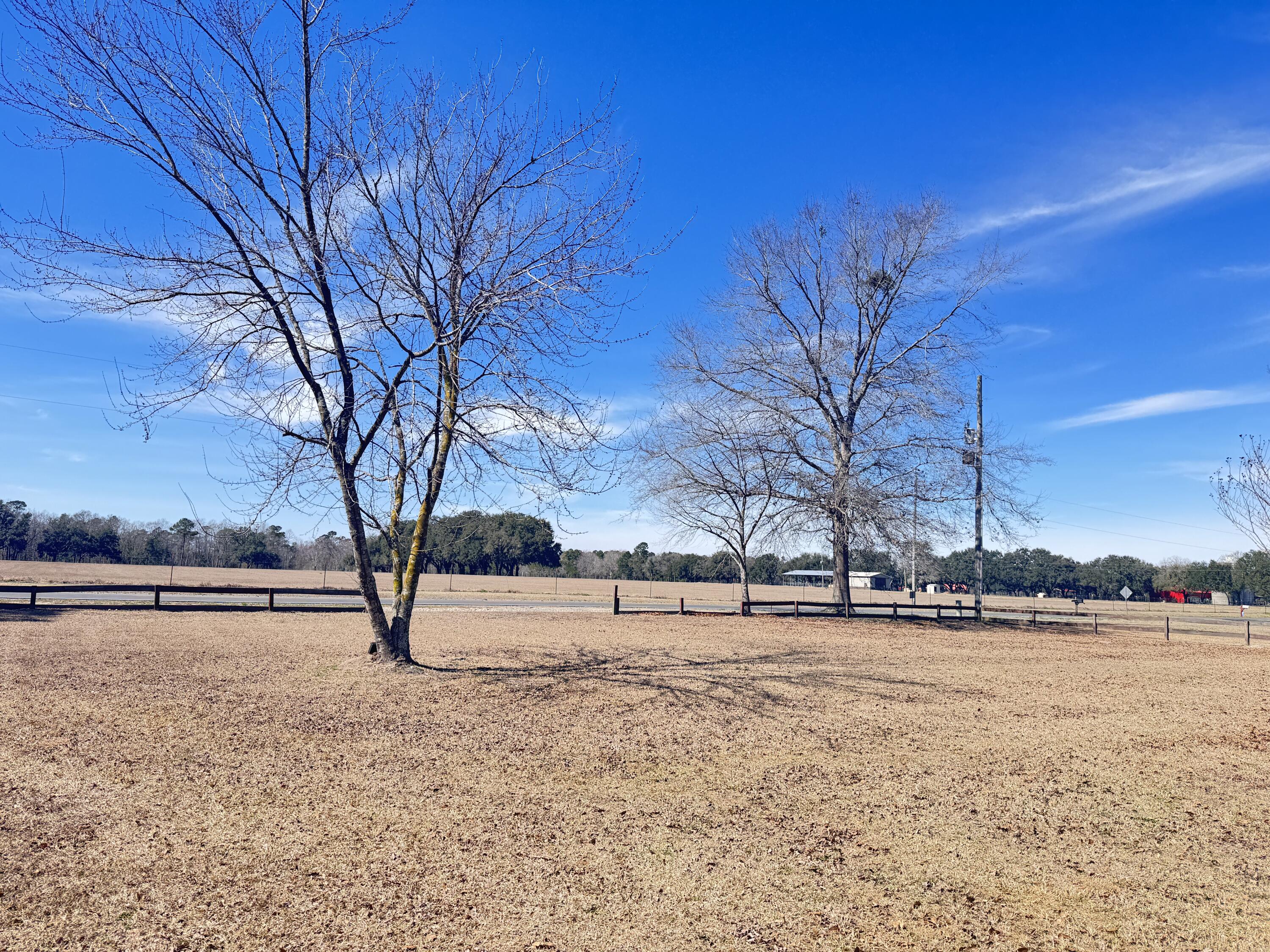 978 Stokes Road Walterboro, SC 29488 - Photo 10 of 87 978 Stokes Road (14)