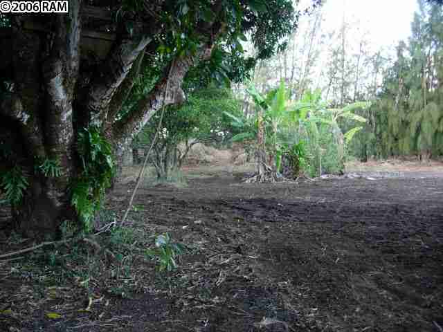 639 Kauhikoa Road Haiku, HI 96708 - Photo 1 of 7 a view of outdoor space and trees