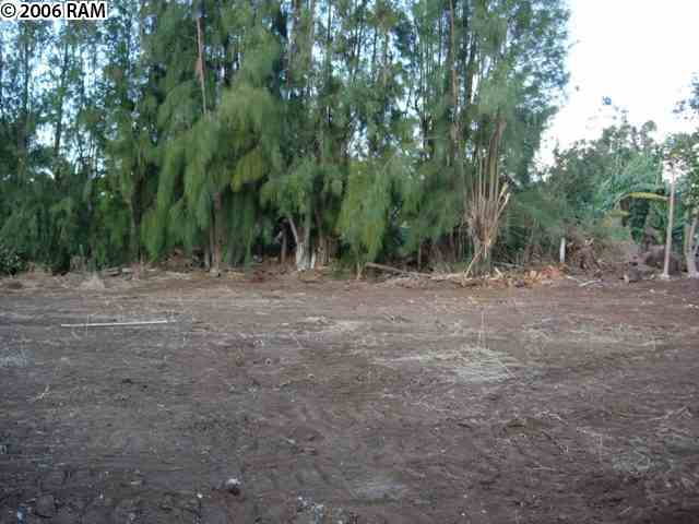 639 Kauhikoa Road Haiku, HI 96708 - Photo 3 of 7 a view of dirt field with trees in the background