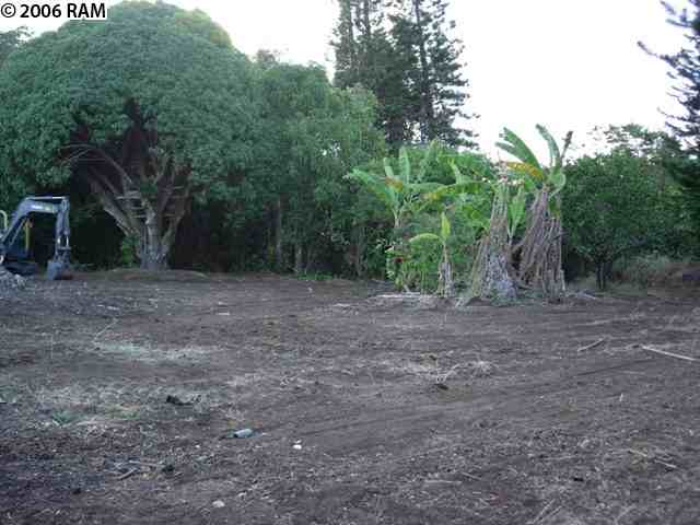 639 Kauhikoa Road Haiku, HI 96708 - Photo 4 of 7 a view of a dry yard with trees