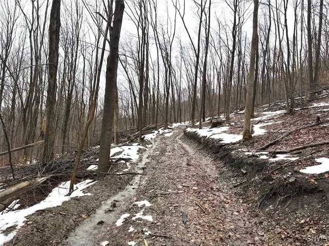 $99,900 | 16 Route Ischua Ny 14743, Ischua, NY 14743