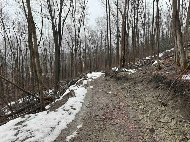 $99,900 | 16 Route Ischua Ny 14743, Ischua, NY 14743