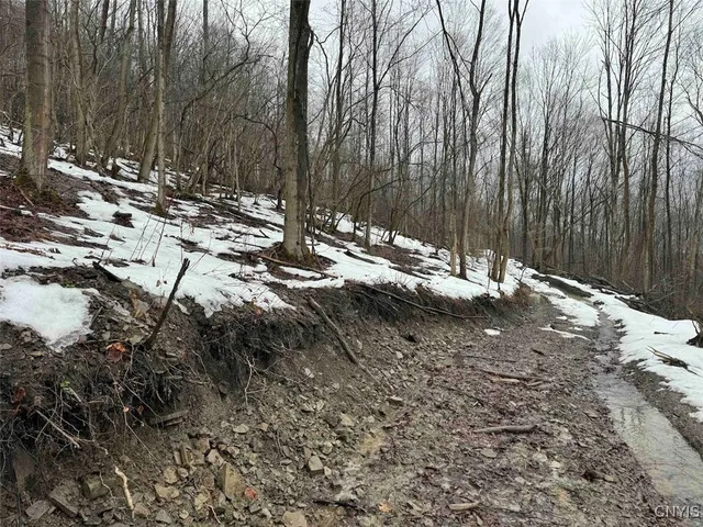 $99,900 | 16 Route Ischua Ny 14743, Ischua, NY 14743