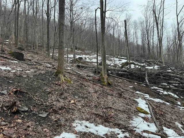 $99,900 | 16 Route Ischua Ny 14743, Ischua, NY 14743