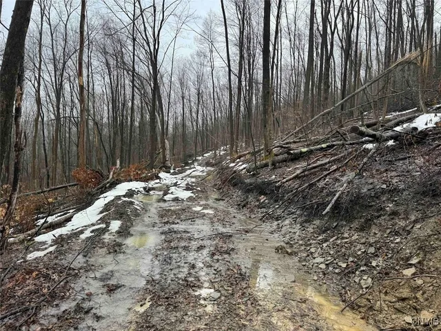 $99,900 | 16 Route Ischua Ny 14743, Ischua, NY 14743