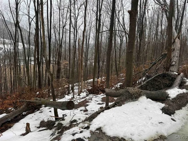 $99,900 | 16 Route Ischua Ny 14743, Ischua, NY 14743