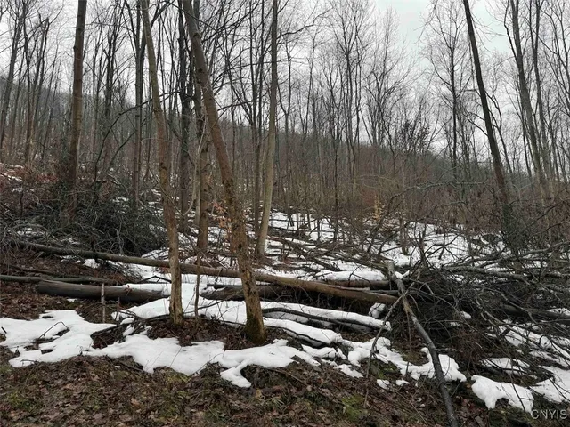 $99,900 | 16 Route Ischua Ny 14743, Ischua, NY 14743