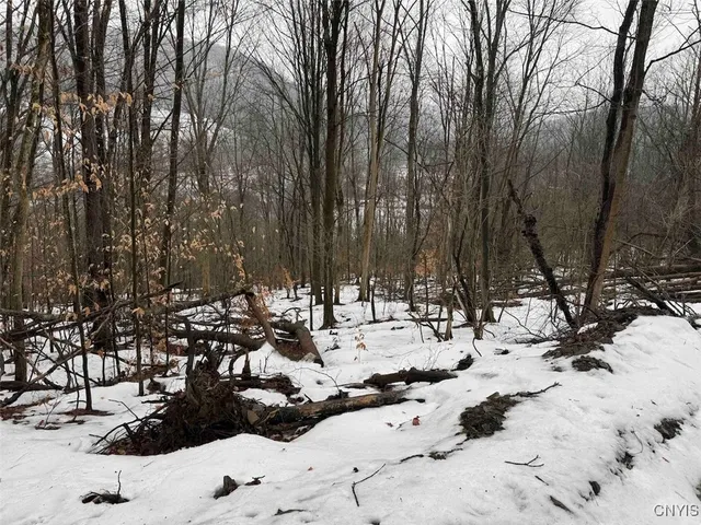 $99,900 | 16 Route Ischua Ny 14743, Ischua, NY 14743