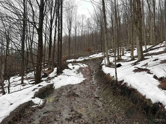 $99,900 | 16 Route Ischua Ny 14743, Ischua, NY 14743