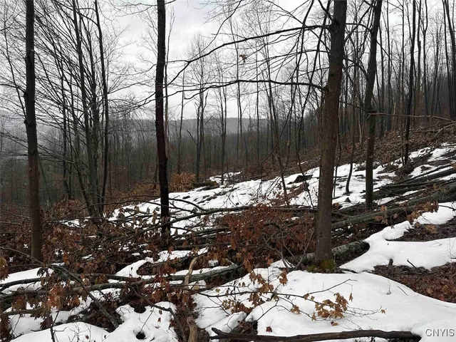 $99,900 | 16 Route Ischua Ny 14743, Ischua, NY 14743