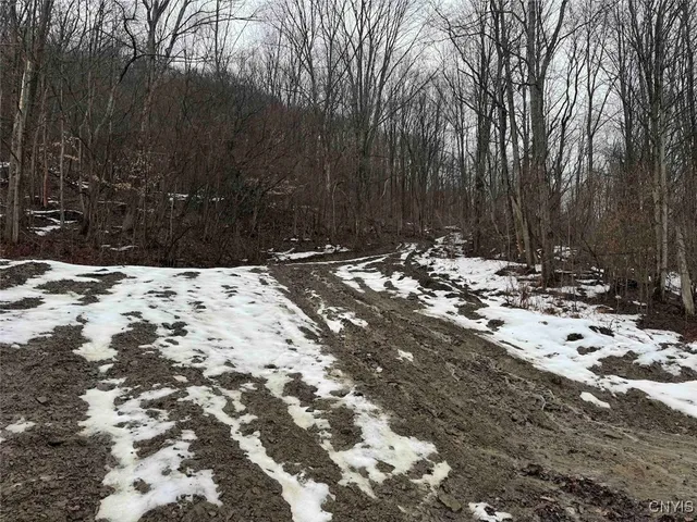 $99,900 | 16 Route Ischua Ny 14743, Ischua, NY 14743