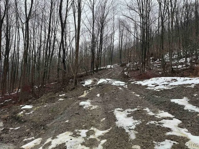 $99,900 | 16 Route Ischua Ny 14743, Ischua, NY 14743