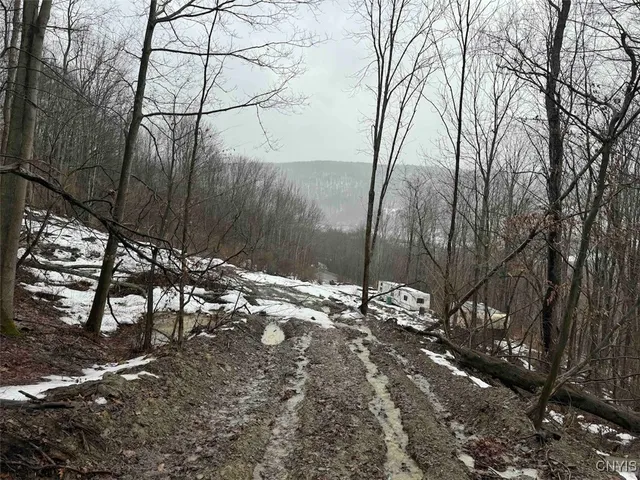 $99,900 | 16 Route Ischua Ny 14743, Ischua, NY 14743