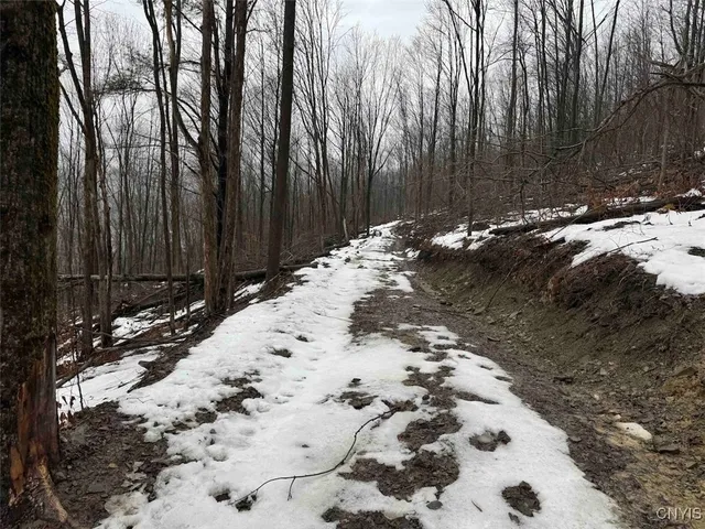 $99,900 | 16 Route Ischua Ny 14743, Ischua, NY 14743