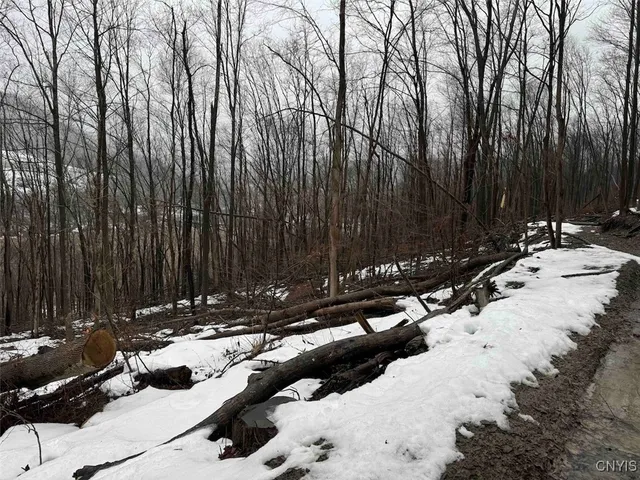 $99,900 | 16 Route Ischua Ny 14743, Ischua, NY 14743