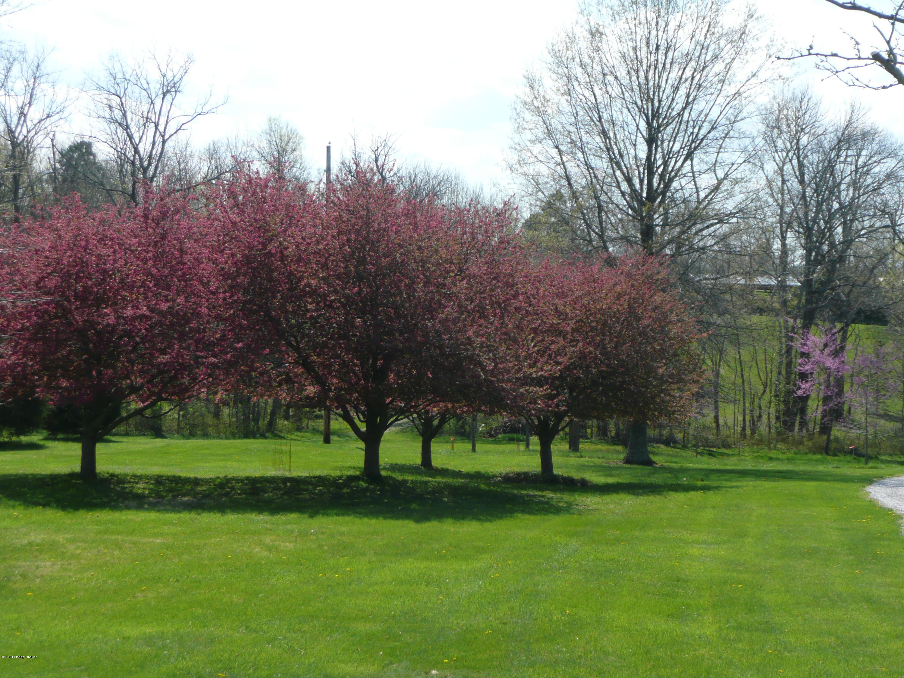 100 Henry Veech Road Finchville, KY 40022 - Photo 11 of 69 GROUNDS