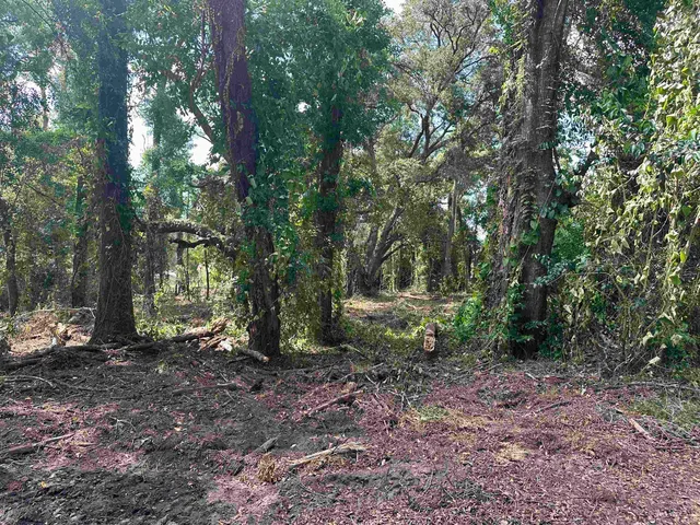 $35,000 | 0 Longhorn Drive, Tallahassee, FL 32311