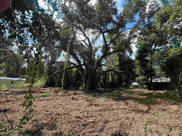 $35,000 | 0 Longhorn Drive, Tallahassee, FL 32311