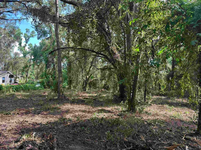 $35,000 | 0 Longhorn Drive, Tallahassee, FL 32311