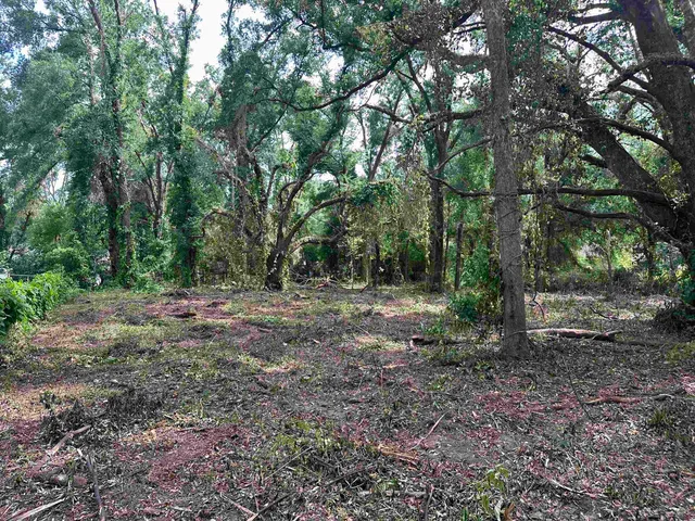 $35,000 | 0 Longhorn Drive, Tallahassee, FL 32311