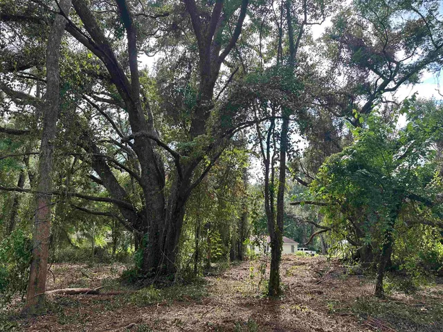 $35,000 | 0 Longhorn Drive, Tallahassee, FL 32311