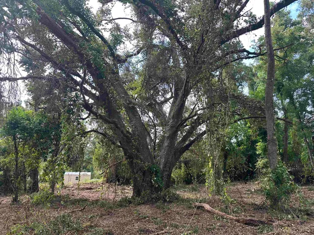 $35,000 | 0 Longhorn Drive, Tallahassee, FL 32311