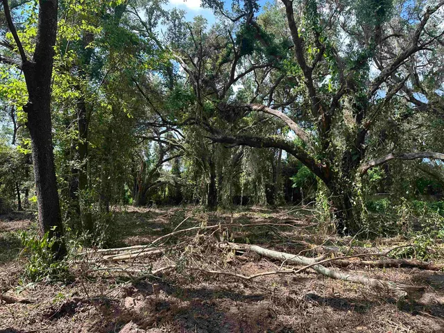 $35,000 | 0 Longhorn Drive, Tallahassee, FL 32311