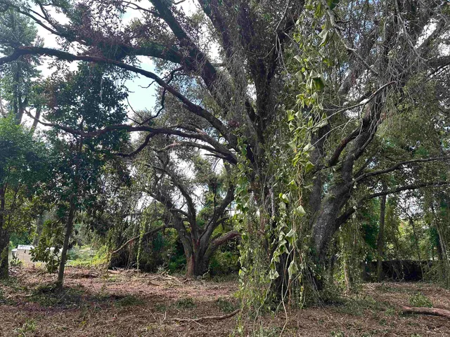 $35,000 | 0 Longhorn Drive, Tallahassee, FL 32311