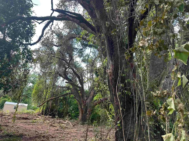 $35,000 | 0 Longhorn Drive, Tallahassee, FL 32311