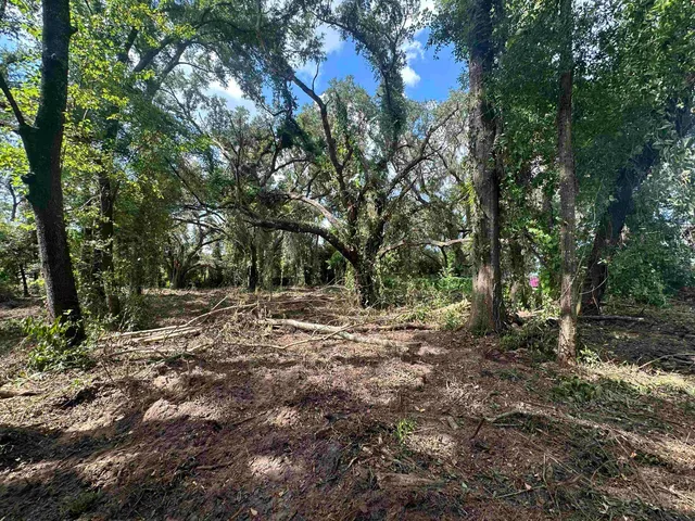 $35,000 | 0 Longhorn Drive, Tallahassee, FL 32311