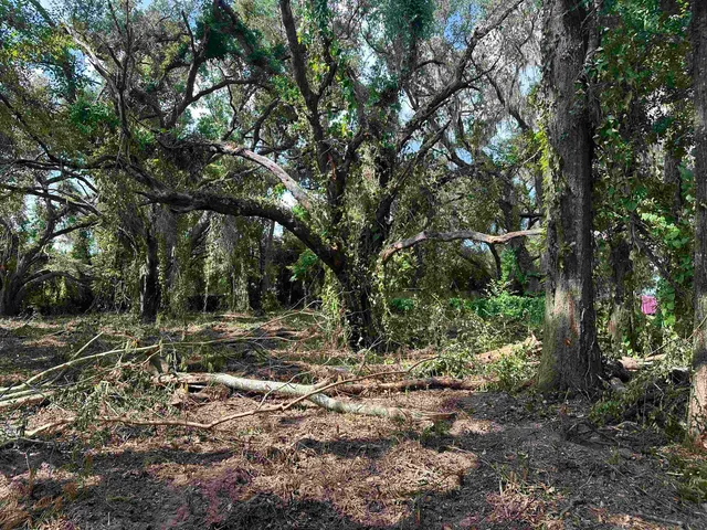 $35,000 | 0 Longhorn Drive, Tallahassee, FL 32311