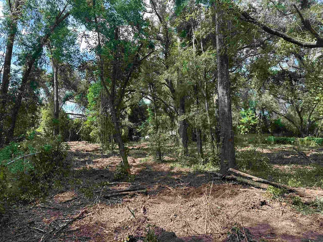 $35,000 | 0 Longhorn Drive, Tallahassee, FL 32311