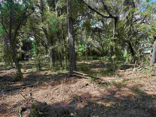 $35,000 | 0 Longhorn Drive, Tallahassee, FL 32311