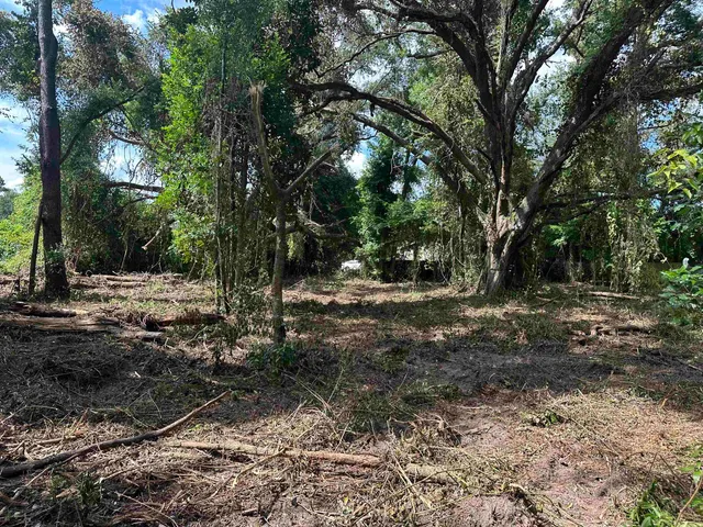 $35,000 | 0 Longhorn Drive, Tallahassee, FL 32311