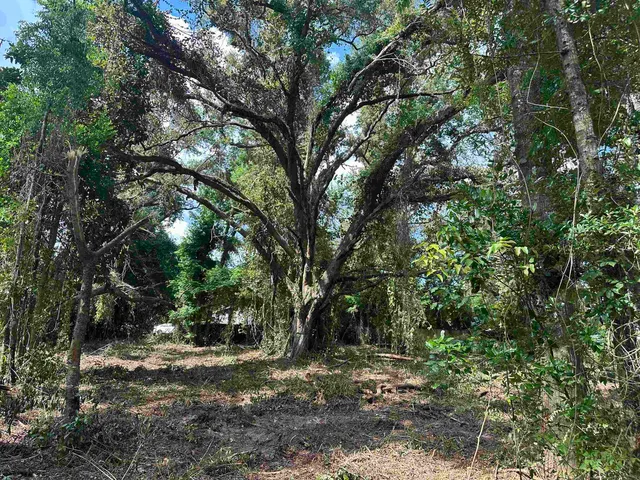 $35,000 | 0 Longhorn Drive, Tallahassee, FL 32311