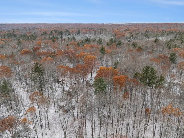 $260,000 | 3139 White Oak Trail, Custer, MI 49405