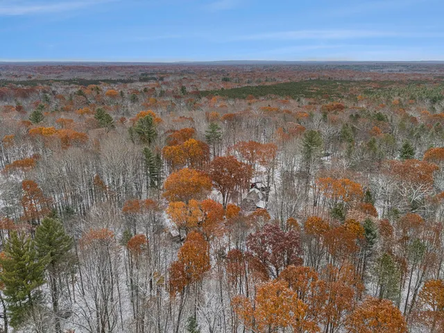 $260,000 | 3139 White Oak Trail, Custer, MI 49405