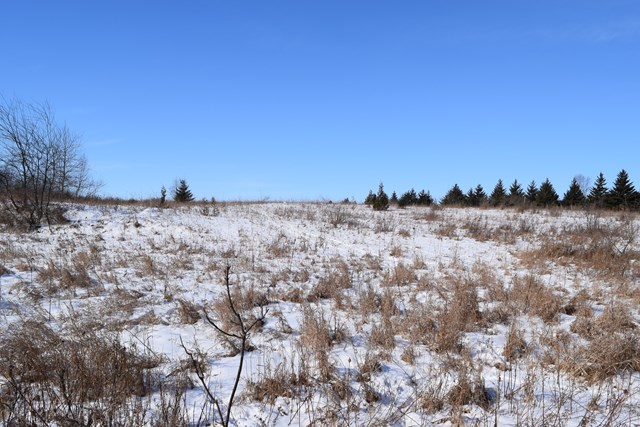 Lot 1 County Road Algoma, WI 54201 - Photo 4 of 13