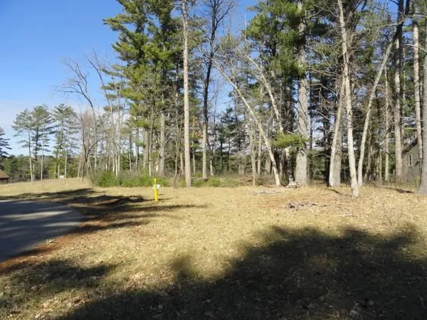 $98,500 | Lot 15 Fly Rod Trail, Wisconsin Rapids, WI 54494