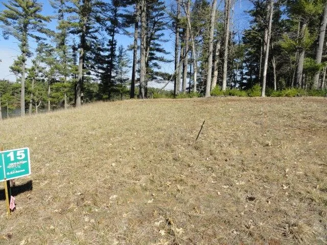 $97,000 | Lot 15 Fly Rod Trail, Wisconsin Rapids, WI 54494