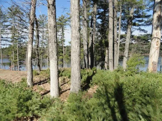 $97,000 | Lot 15 Fly Rod Trail, Wisconsin Rapids, WI 54494