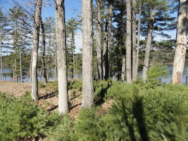 Lot 15 Fly Rod Trail Wisconsin Rapids, WI 54494 - Photo 33 of 56